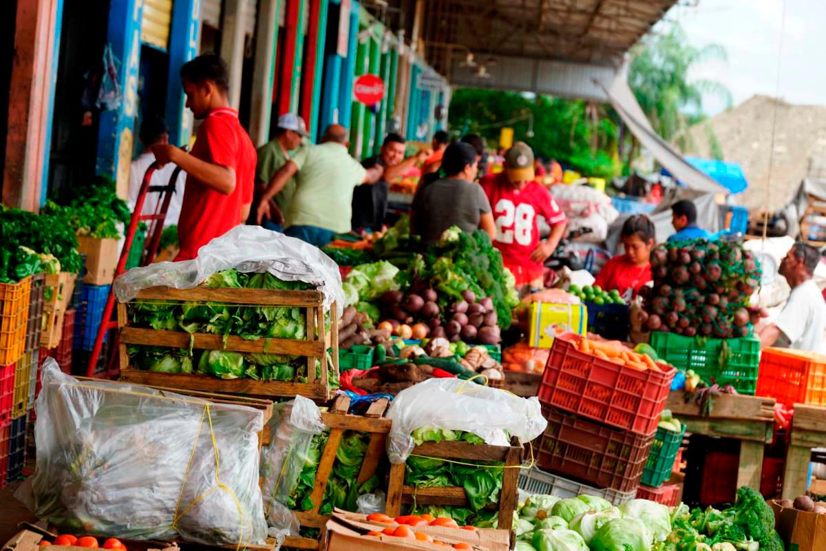 Verduras suman dos meses de alzas