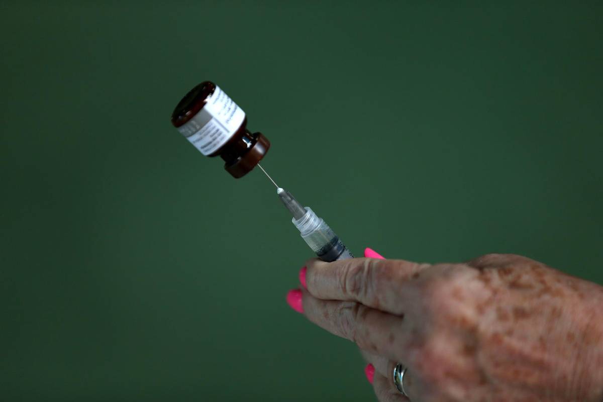 OMS enciende las alarmas por brote de fiebre amarilla en Venezuela