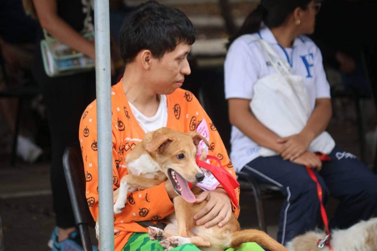 Policía Militar celebra brigada médica canina en Tegucigalpa