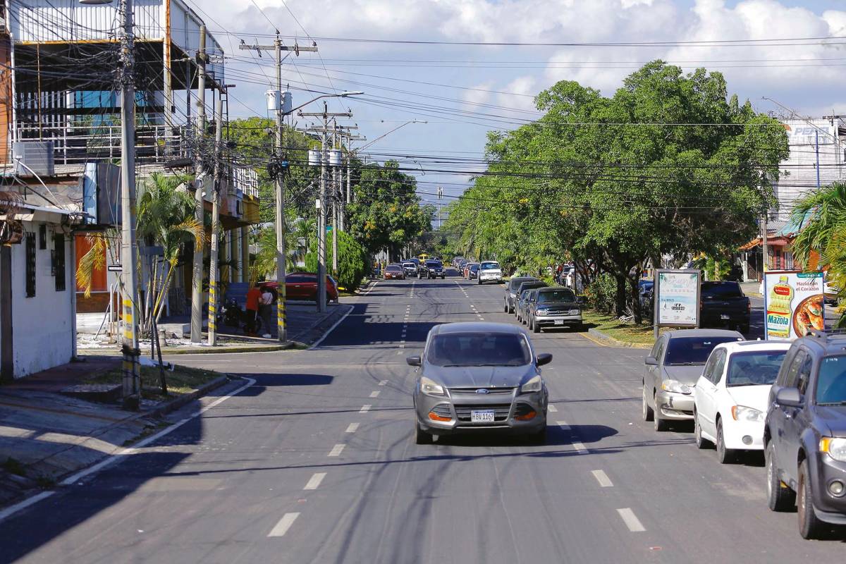 Realizarán evento gastronómico en San Pedro Sula