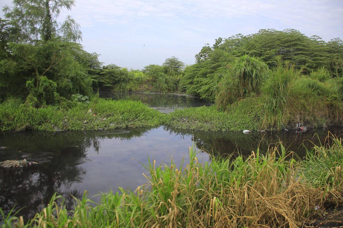 Aguaceros en el valle de Sula: bordos generan temor