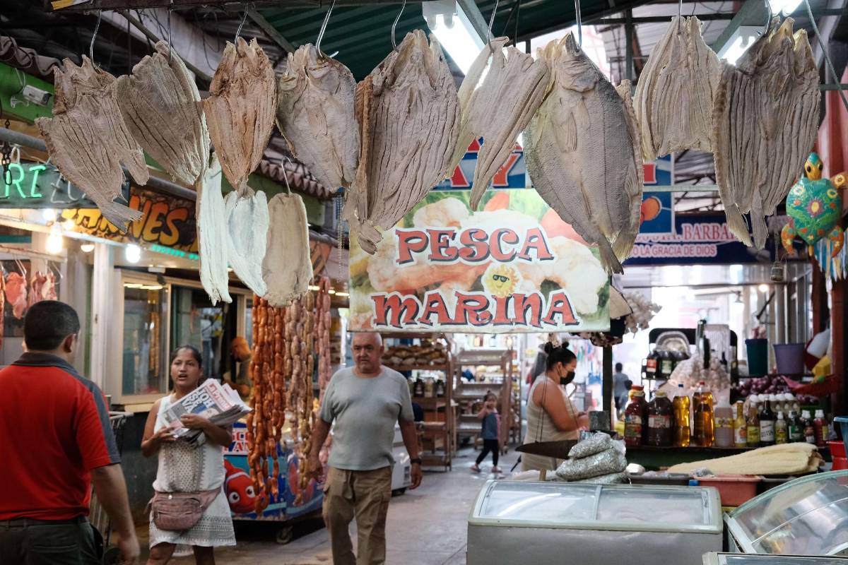 Pescado seco se cotiza entre L130 y L160 en mercados