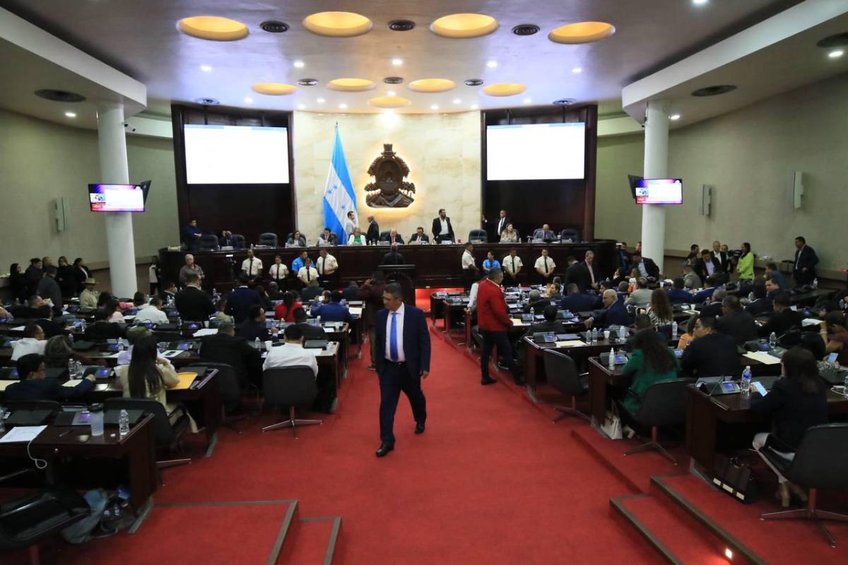 Accidentada sesión en el CN tras dos meses de inactividad; diputada reaccionó furiosa