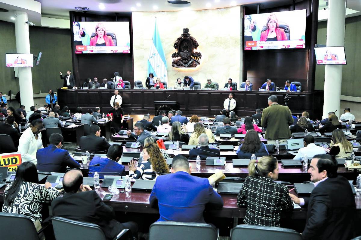 Exhortan a Finanzas a enviar el presupuesto para elecciones al Congreso