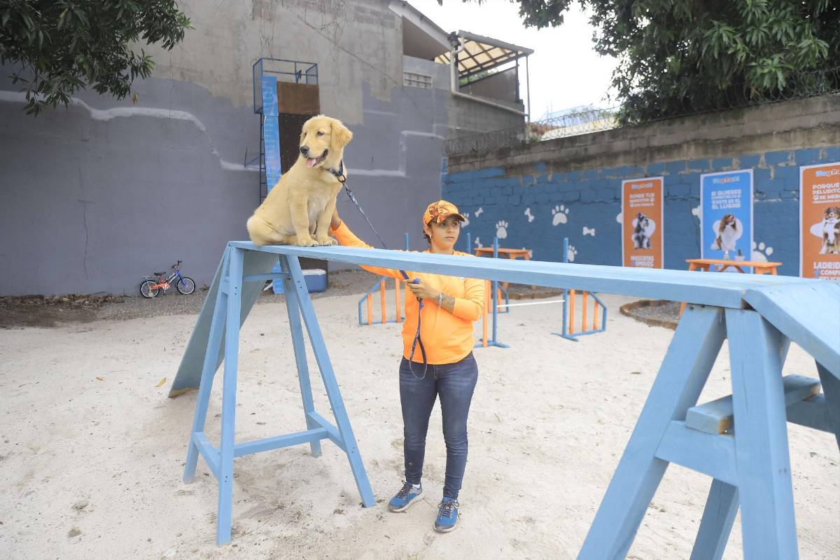 Abren el primer parque de perros en San Pedro Sula