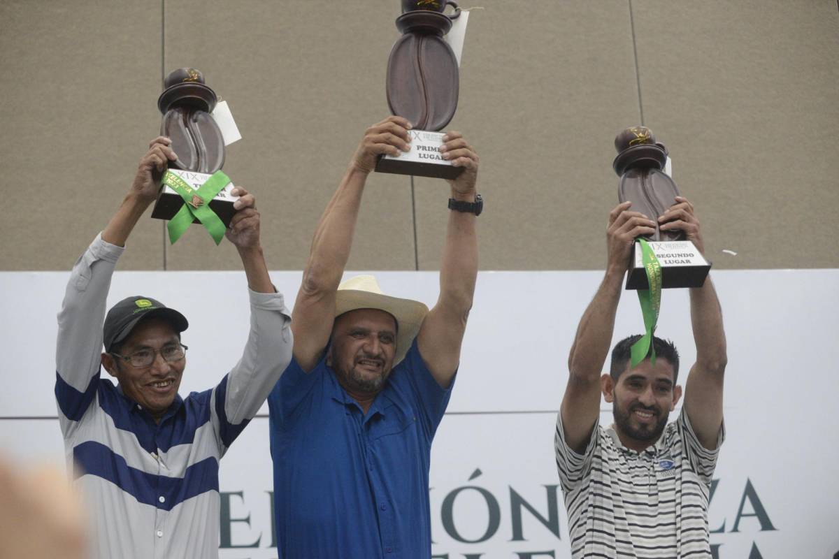 Café de Santa Bárbara gana primer lugar en la Taza de Excelencia