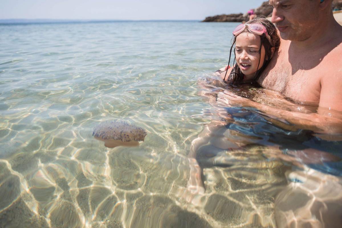 Verano 2023: ¿Cómo prevenir y tratar las picaduras de medusas?