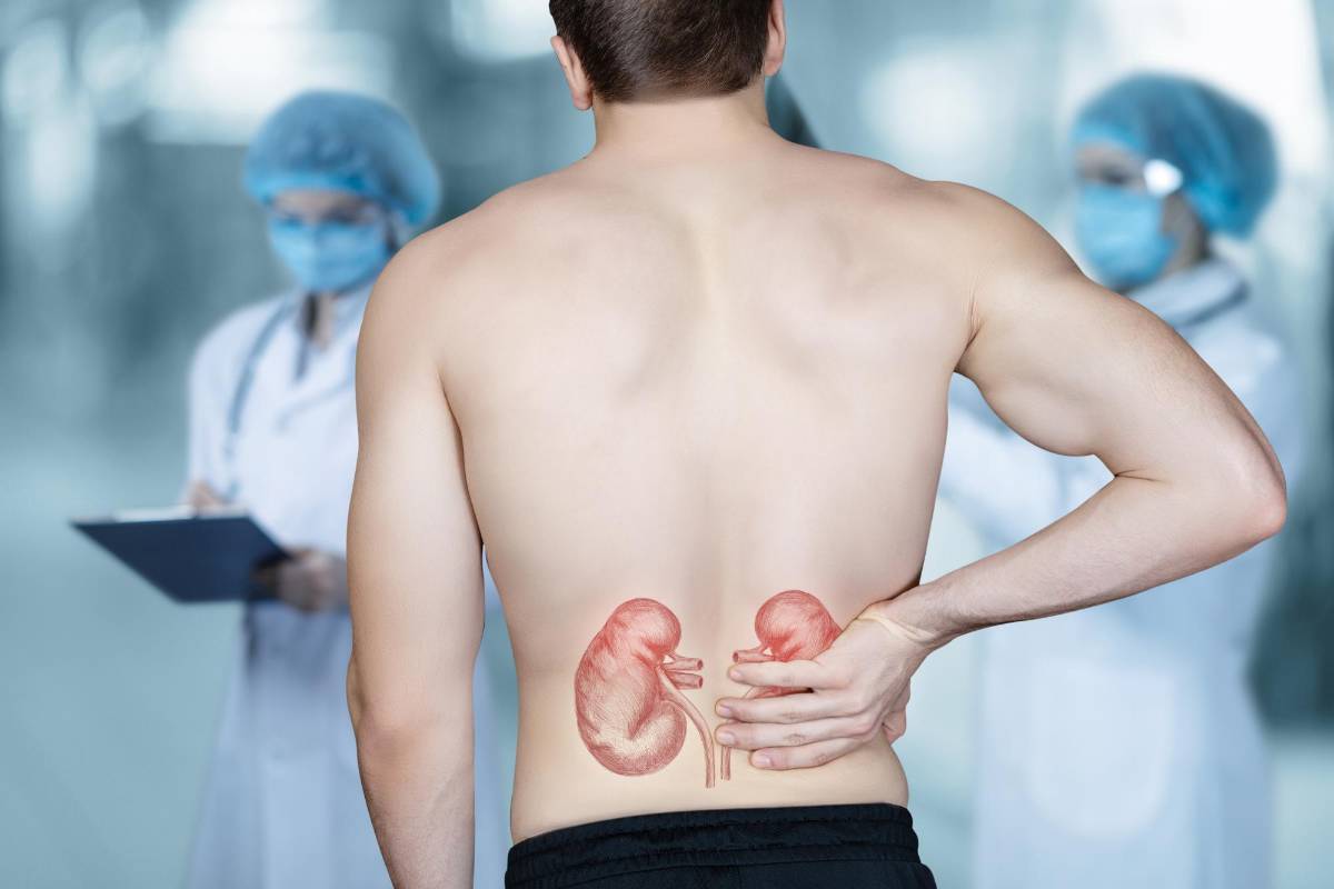 ¿Qué es la enfermedad renal y cómo prevenirla?