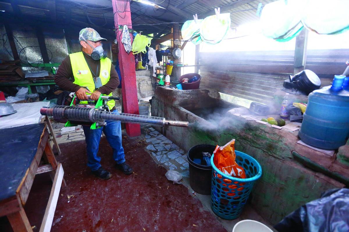 El 32% de casas en Chamelecón tienen larvas de zancudos