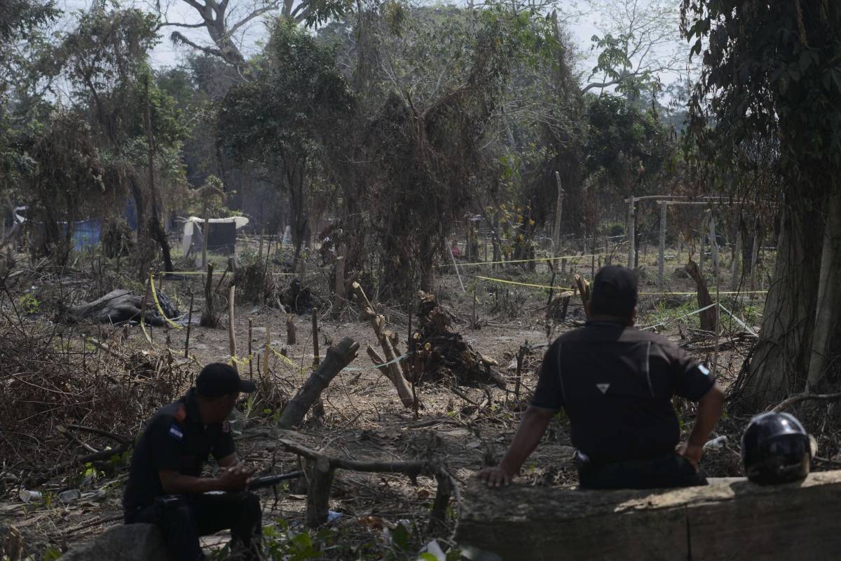 Invasores ya construyeron casas de madera en el acuífero Sunseri