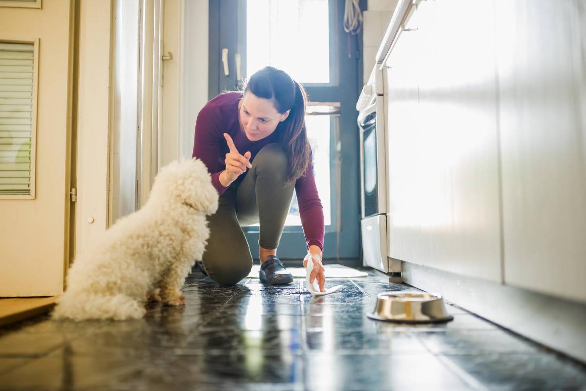 ¿Cómo lograr que tu perro no se orine dentro de la casa?