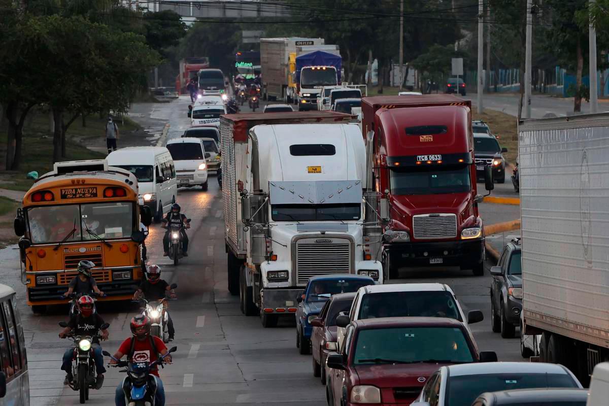 Combustibles bajaron entre L2.32 y L17.29 en 12 meses