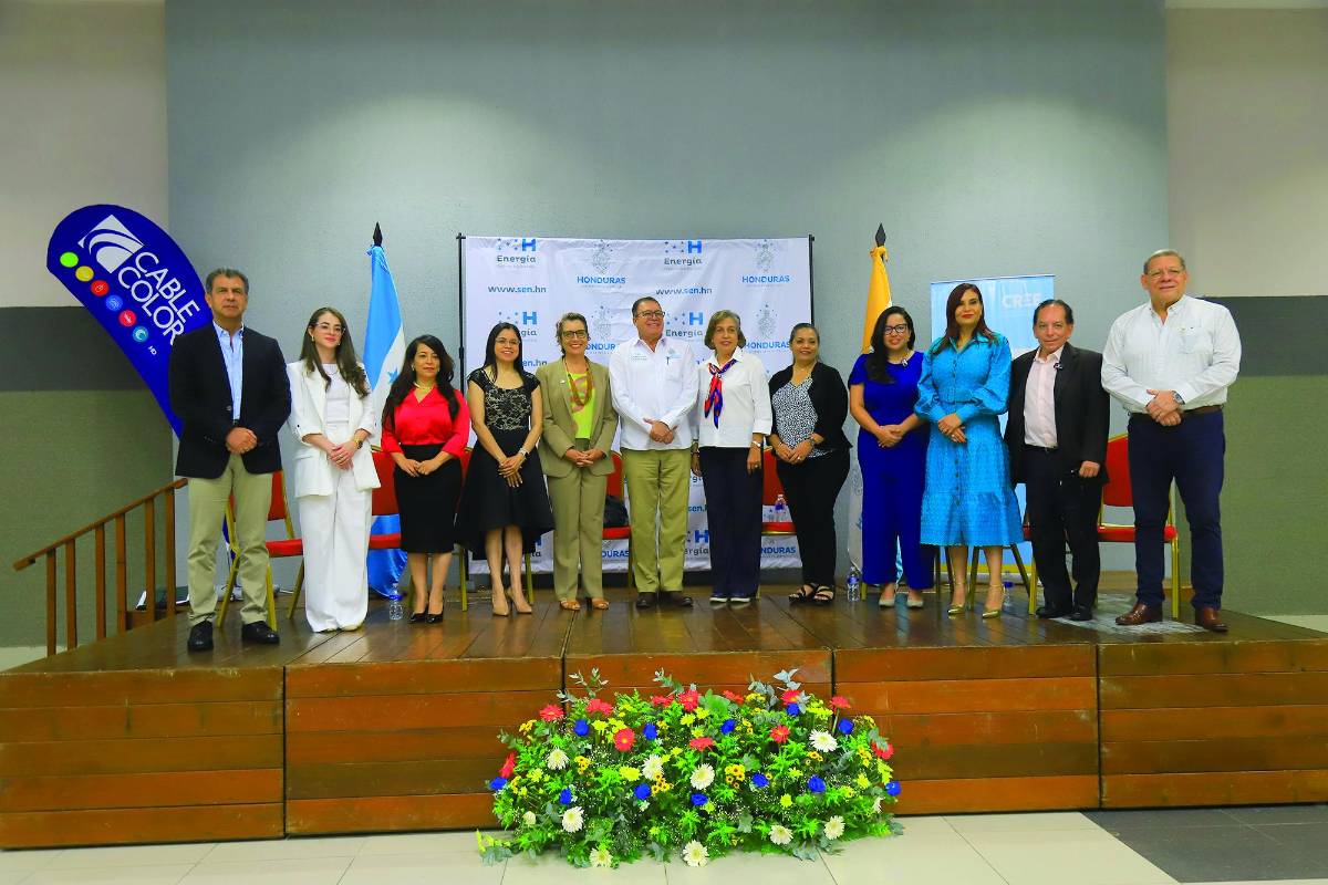 Enee debe licitar 300 megas para evitar apagones en 2025