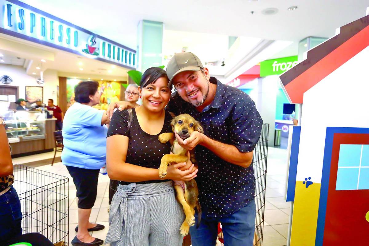 Una pareja que hacía compras en Multiplaza quedó cautivada con Rookie, cachorro al que adoptaron.