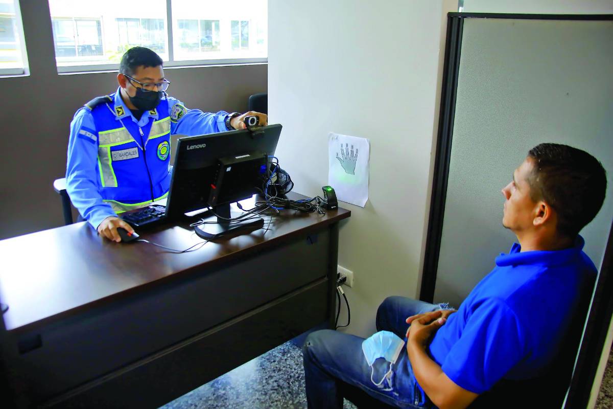Emiten 100 licencias de renovación al día en San Pedro Sula