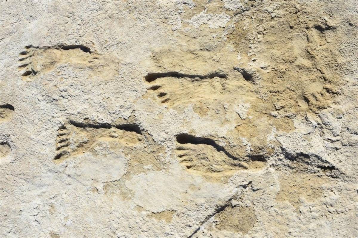 Descubren huellas humanas de 23,000 años de antigüedad en Estados Unidos