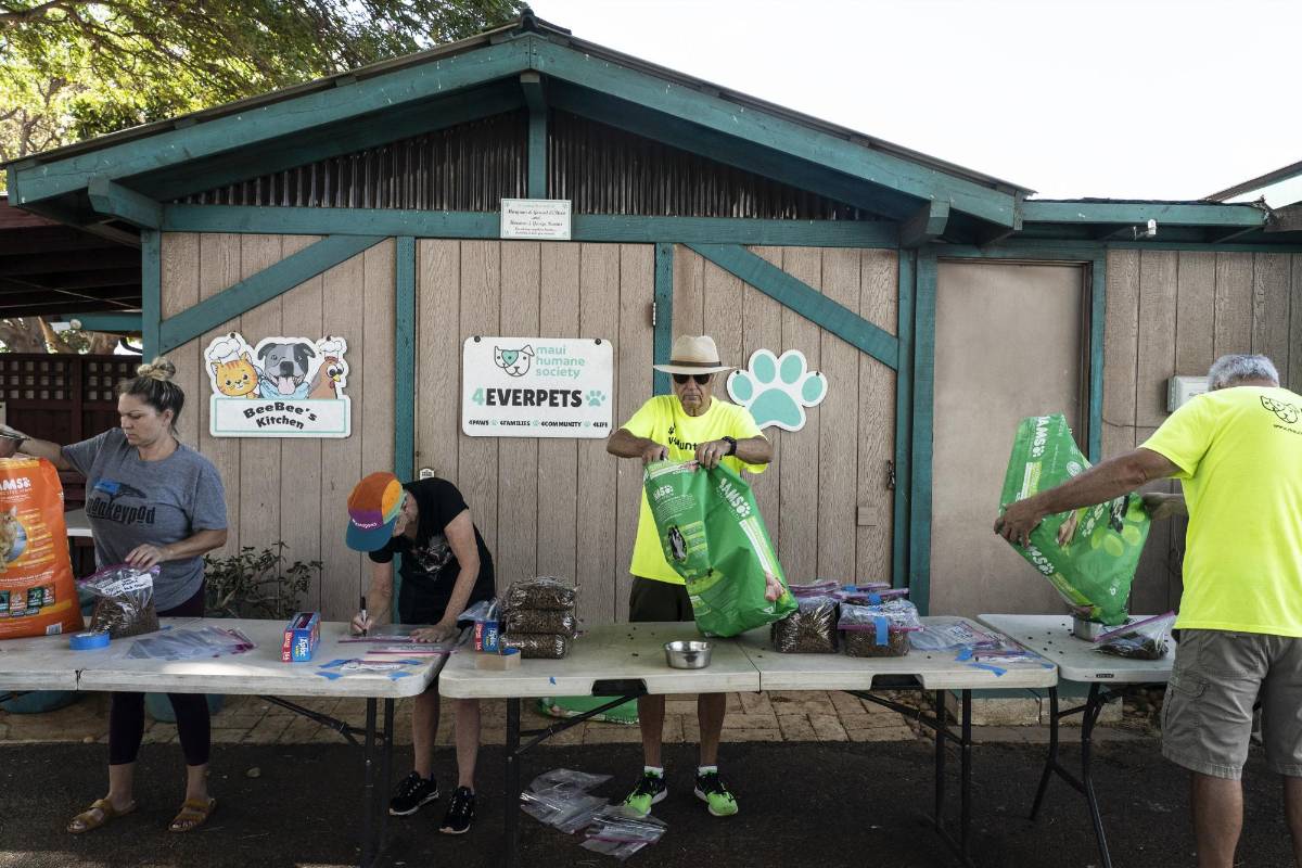 Voluntarios de la Sociedad Protectora de Animales de Maui trabajan para clasificar alimentos para perros para su entrega a las áreas afectadas por el incendio forestal, en Puunene, Hawái, el 15 de agosto de 2023.