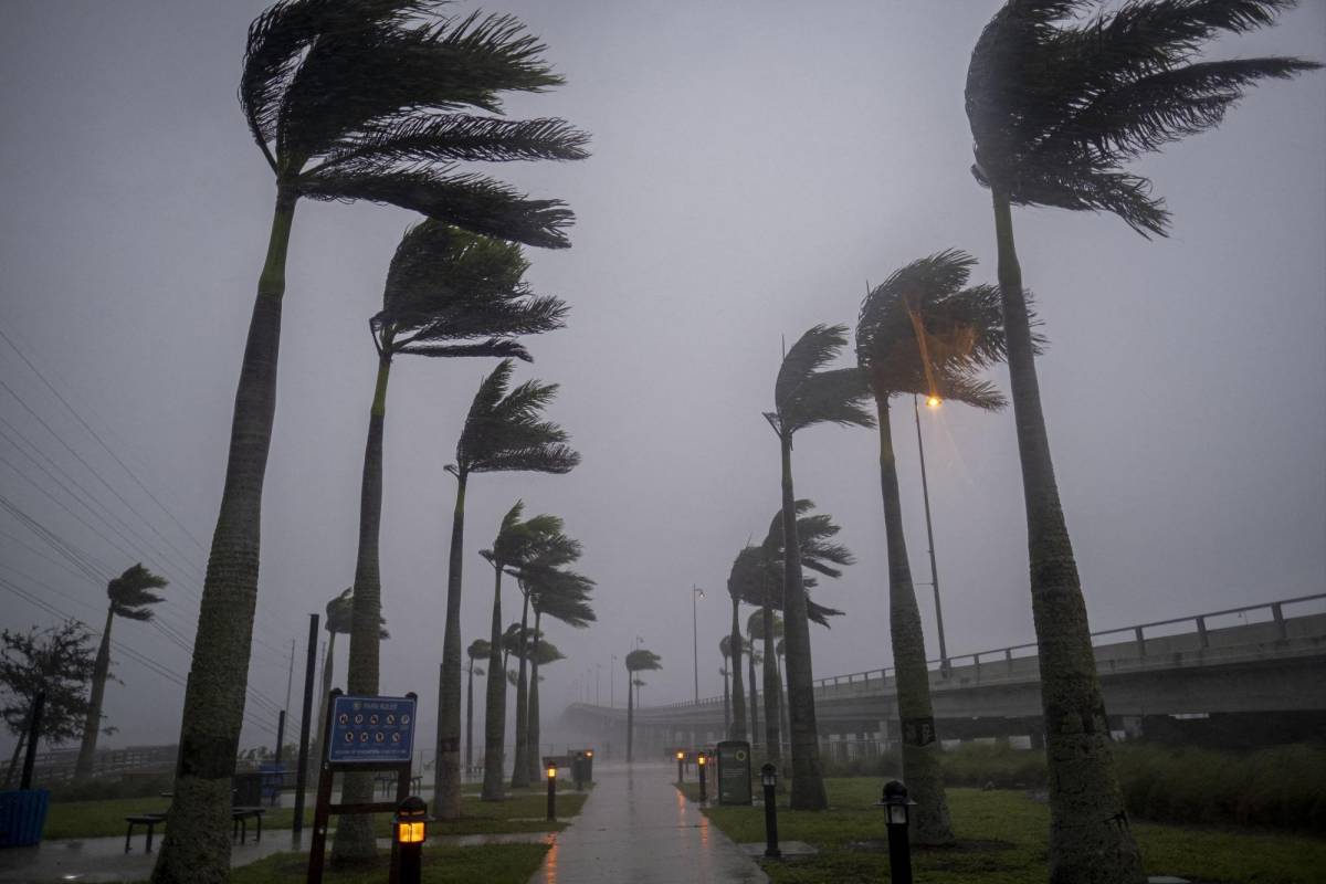 El viento sopla palmeras antes del huracán Ian en Charlotte Harbor, Florida, el 28 de septiembre de 2022.