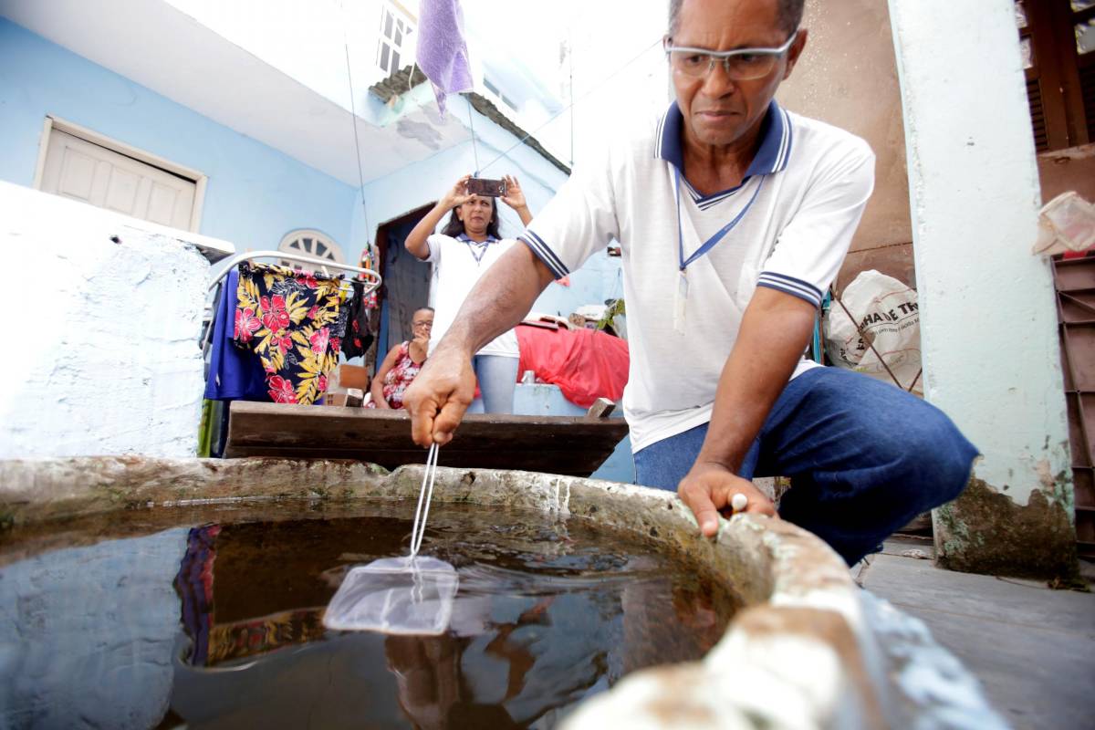 Cambio climático incide directamente en la expansión del dengue