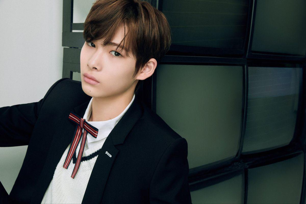 Timothée Chalamet es considerado el más guapo del mundo