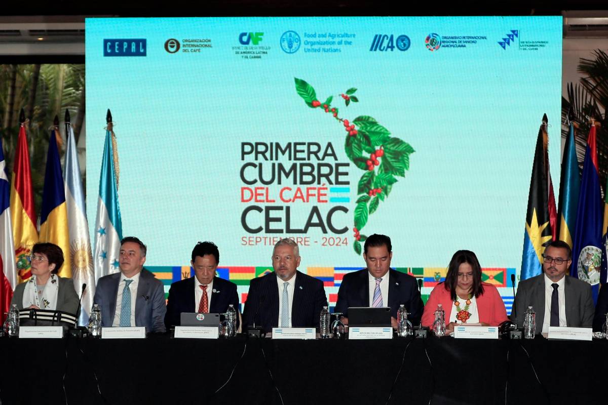 FAO propone transformar el café en una industria más eficiente