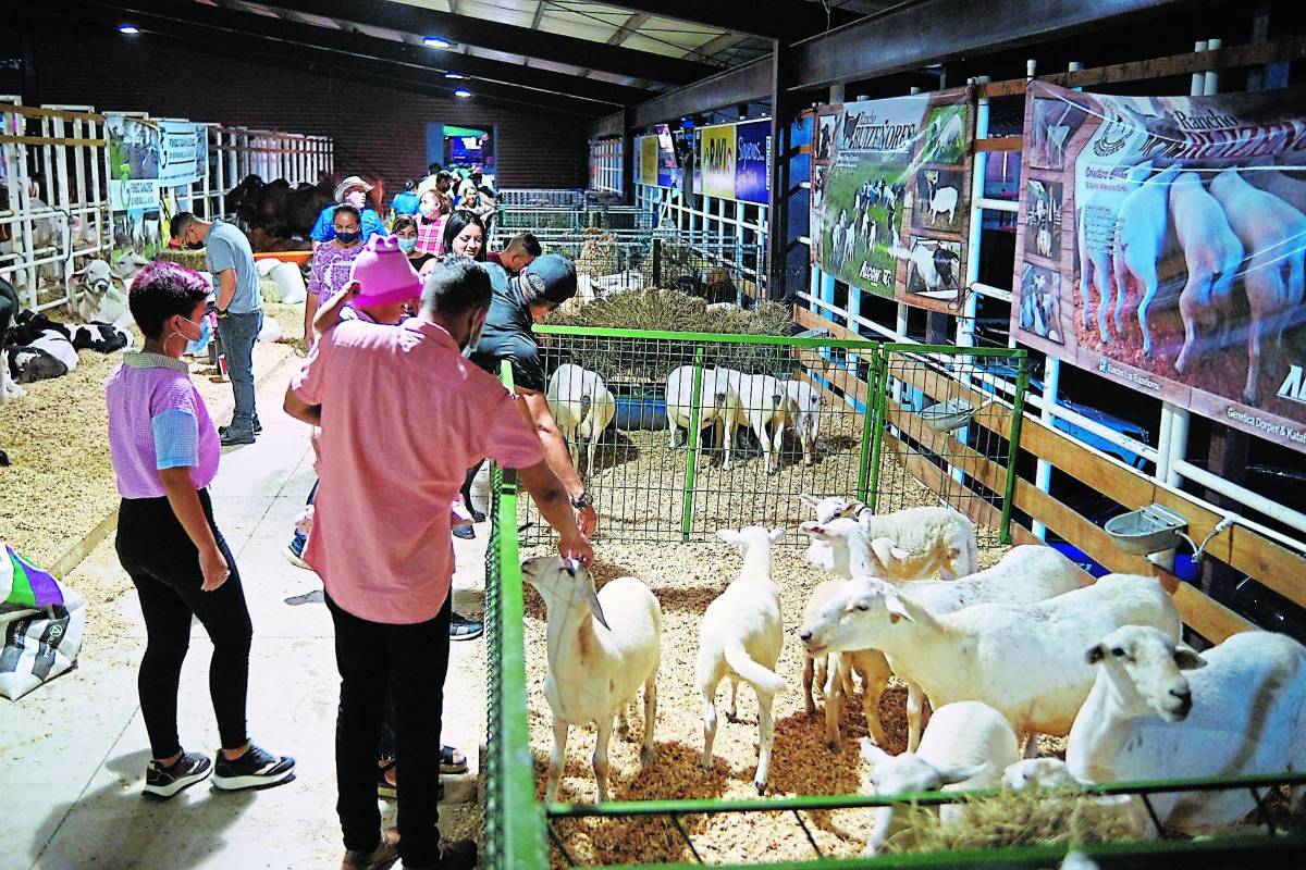 Expocentro y campo Agas cuentan con extenso itinerario de actividades para el disfrute de grandes y pequeños.
