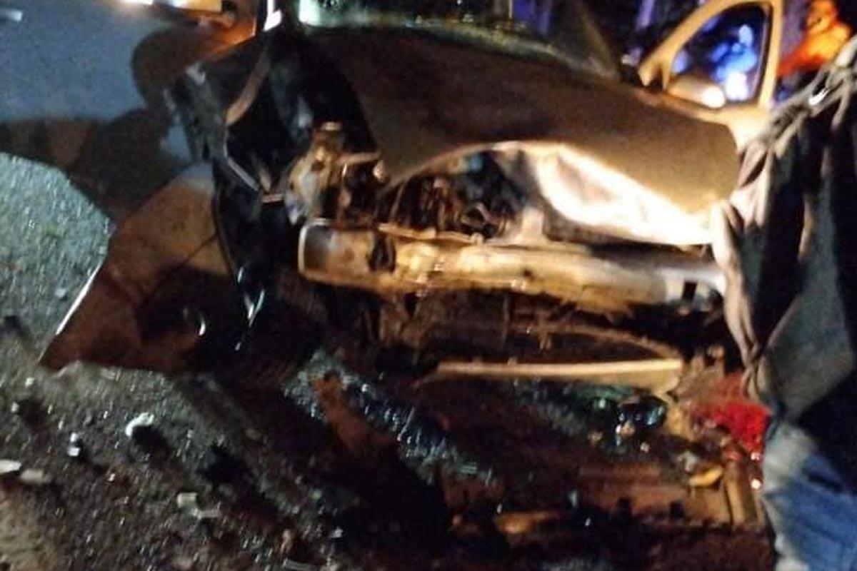 Tras la caída del capo en 1993, y con el fin de su cartel de las drogas, los <b>hipopótamos </b>quedaron sin control.