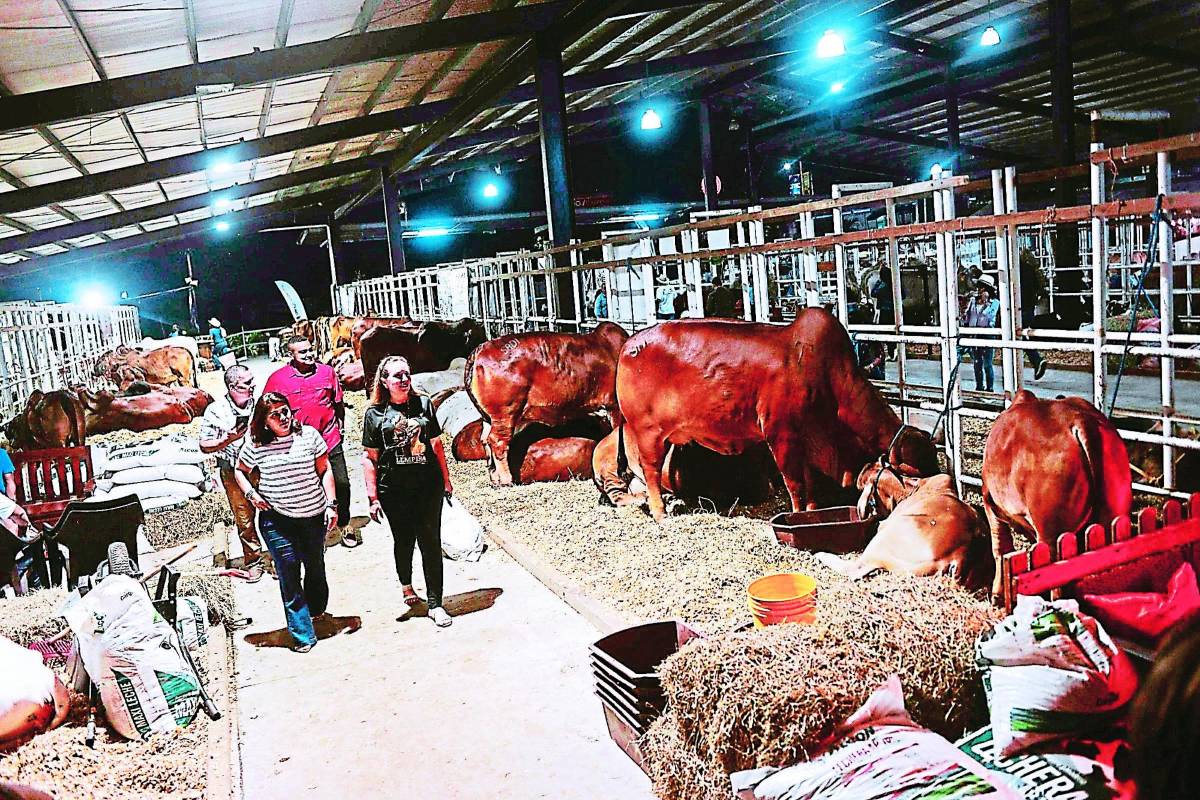 250 mil visitantes esperan tanto el Agas como Expocentro. Solo el fin de semana se estima que más de 70,000 los visitaron.