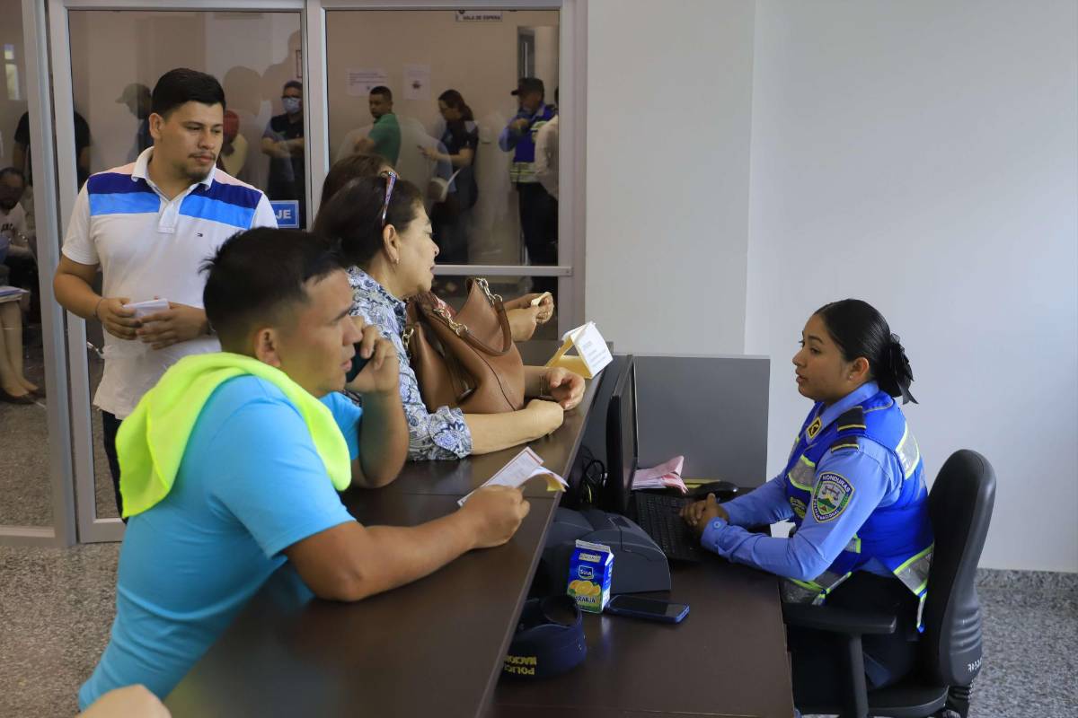 Si perdió su licencia de conducir este es el trámite que debe hacer