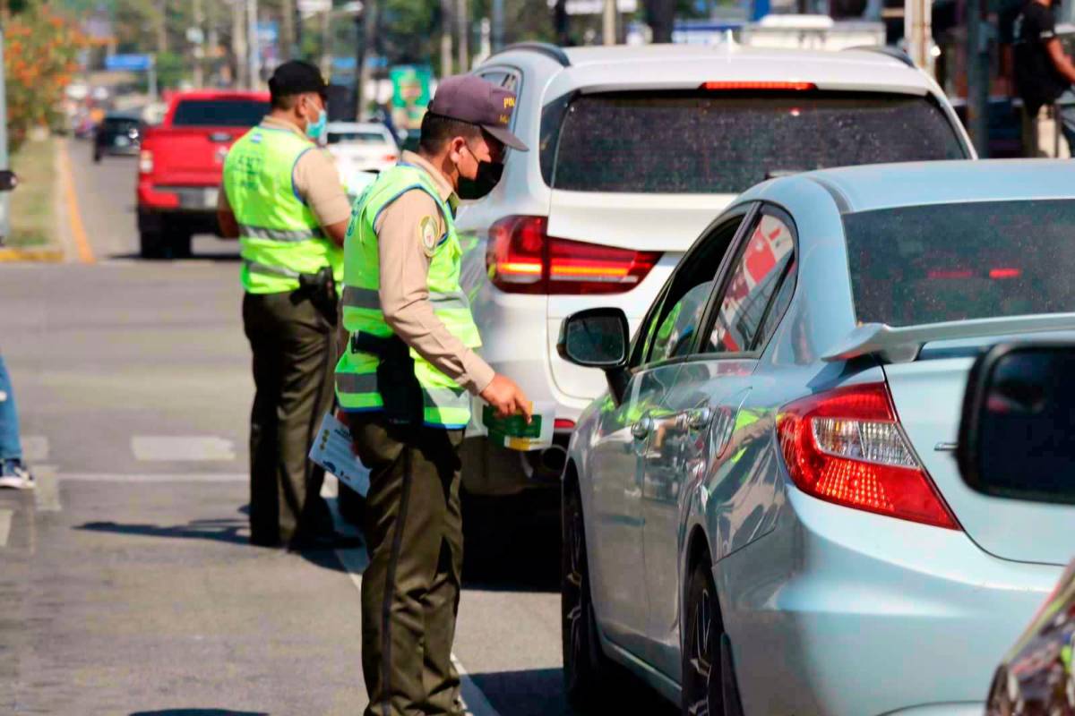 En un mes comienzan a inmovilizar carros mal estacionados en San Pedro Sula