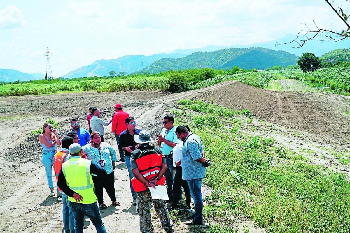 Licitan 21 obras para proteger de inundaciones al valle de Sula