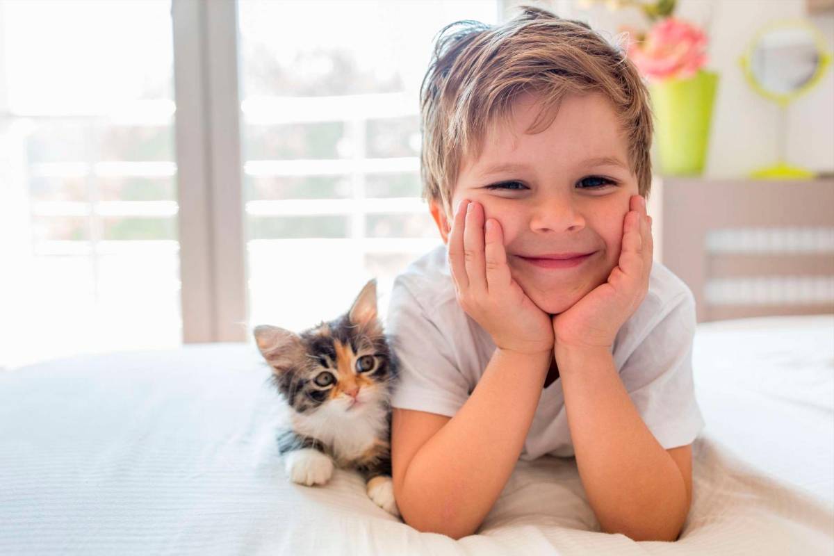 El gato podría ser beneficioso para los niños autistas