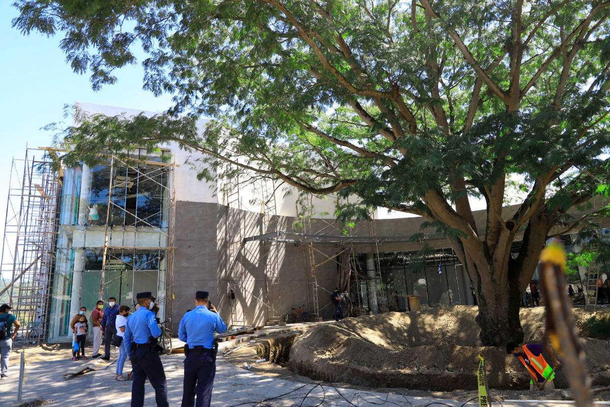 Medicina gratis y especialidades tendrá macrodistrito de salud en Cofradía