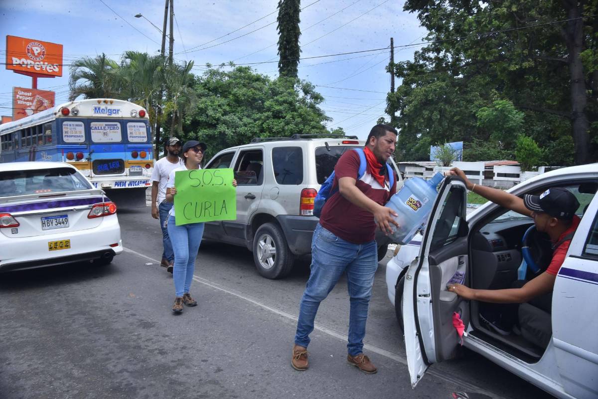 Estudiantes realizan maratón para atender animales en el Curla