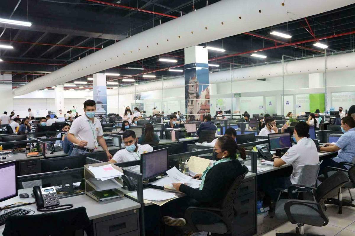 Con QR buscan evitar la falsificación en San Pedro Sula