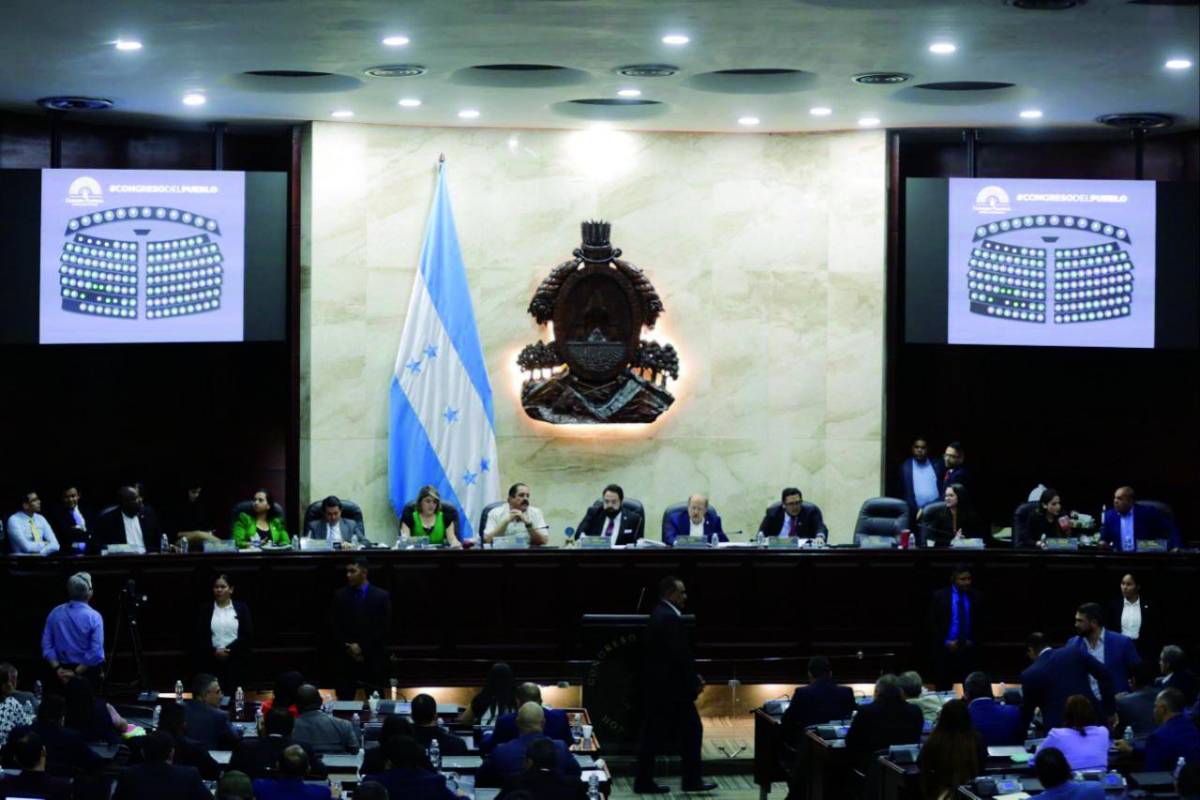 Denuncian que Libre busca quitarle atribuciones al CNE