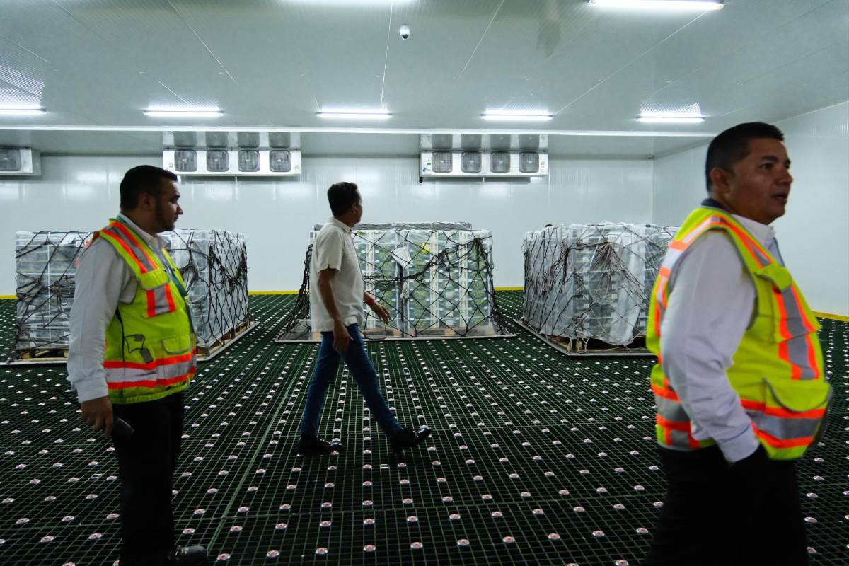 Aduanas de Honduras tiene como meta recaudar L60 mil millones en 2024