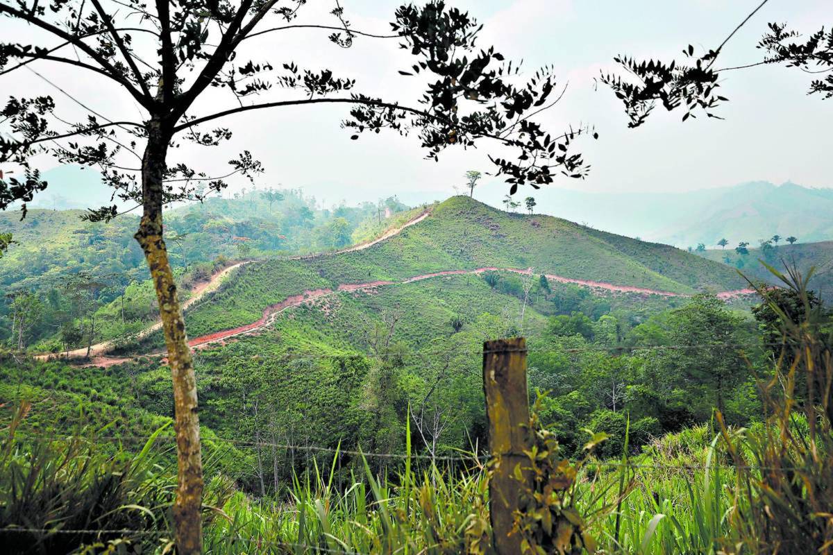 Niegan que haya boicot contra plan en áreas protegidas