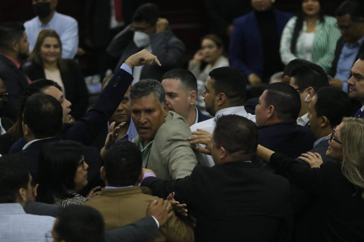 Diputados de Libre y el PN se van a golpes en sesión