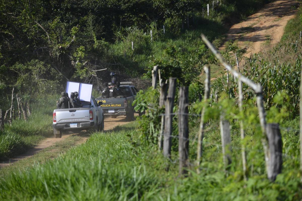 En laguna buscan botín por el que mataron a Erika Bandy