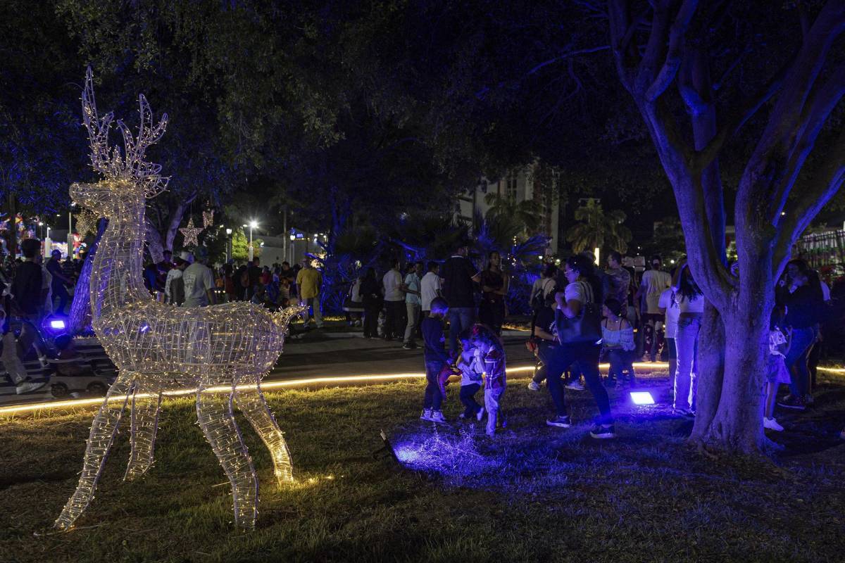 Escándalo en Venezuela: celebran la “Navidad” con fuegos artificiales