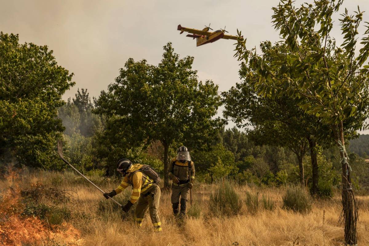 España en llamas: incendios arrasan miles de hectáreas