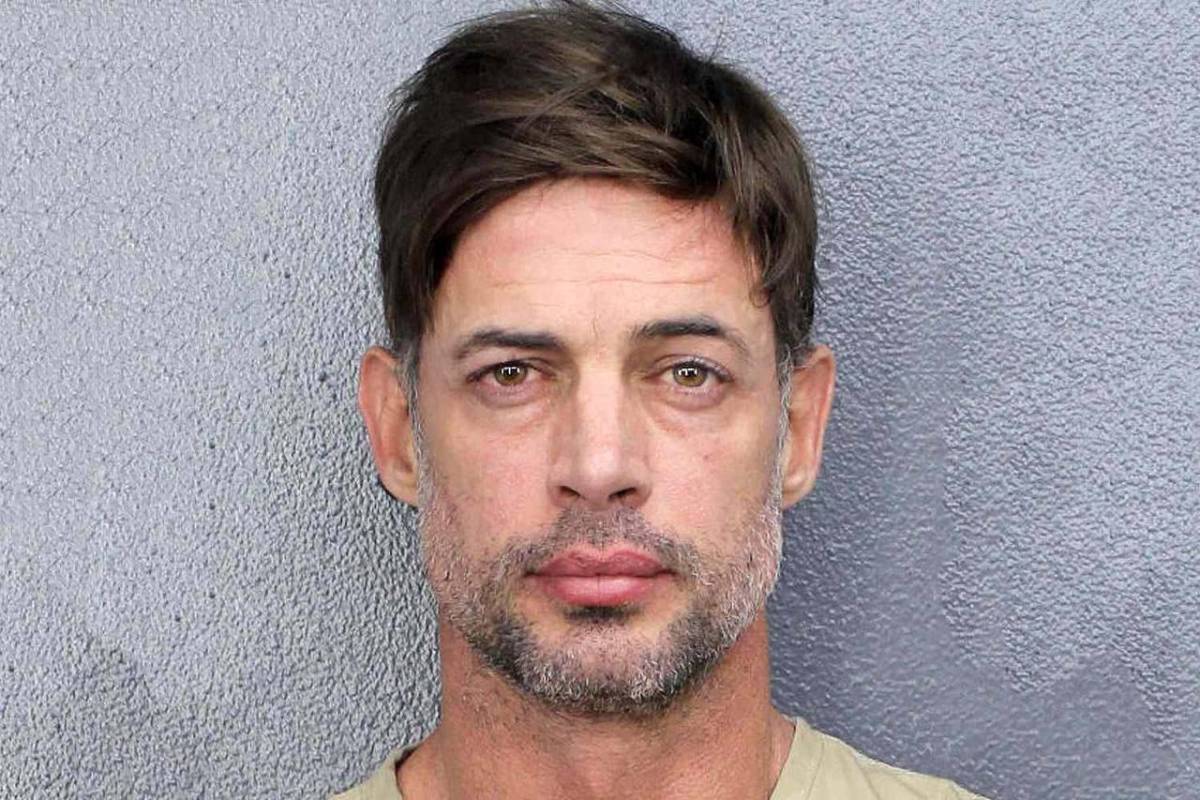 William Levy planea regresar a la televisión tras ser arrestado en Florida