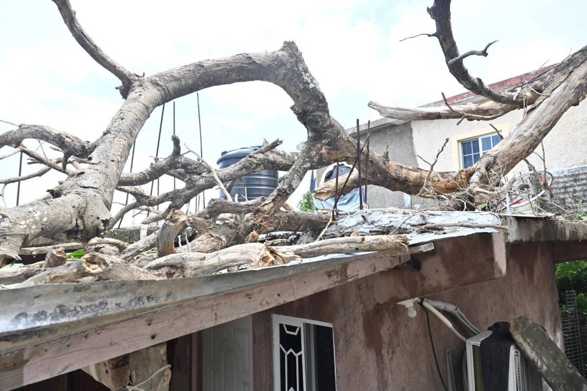 Huracán Melissa deja muerte y devastación en Jamaica