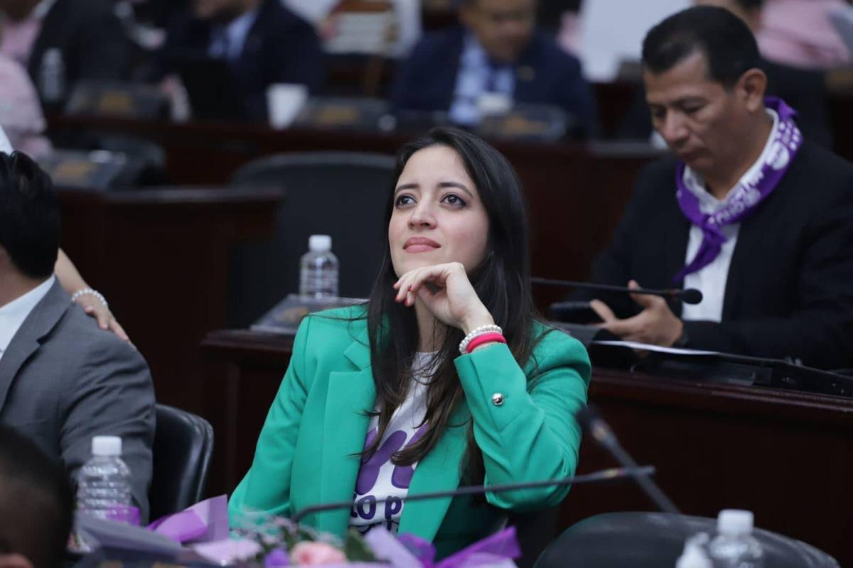 “Pichu” Zelaya denuncia plan de sabotaje contra el gobierno de Xiomara Castro