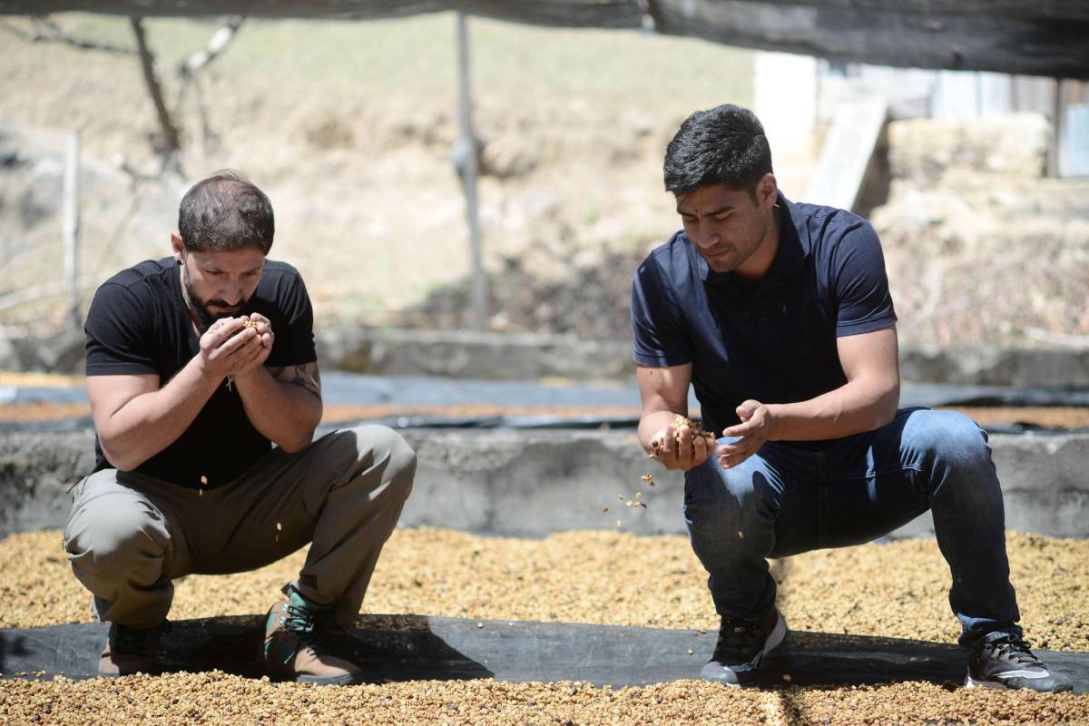 18 Conejo, una familia pionera en la agricultura biodinámica