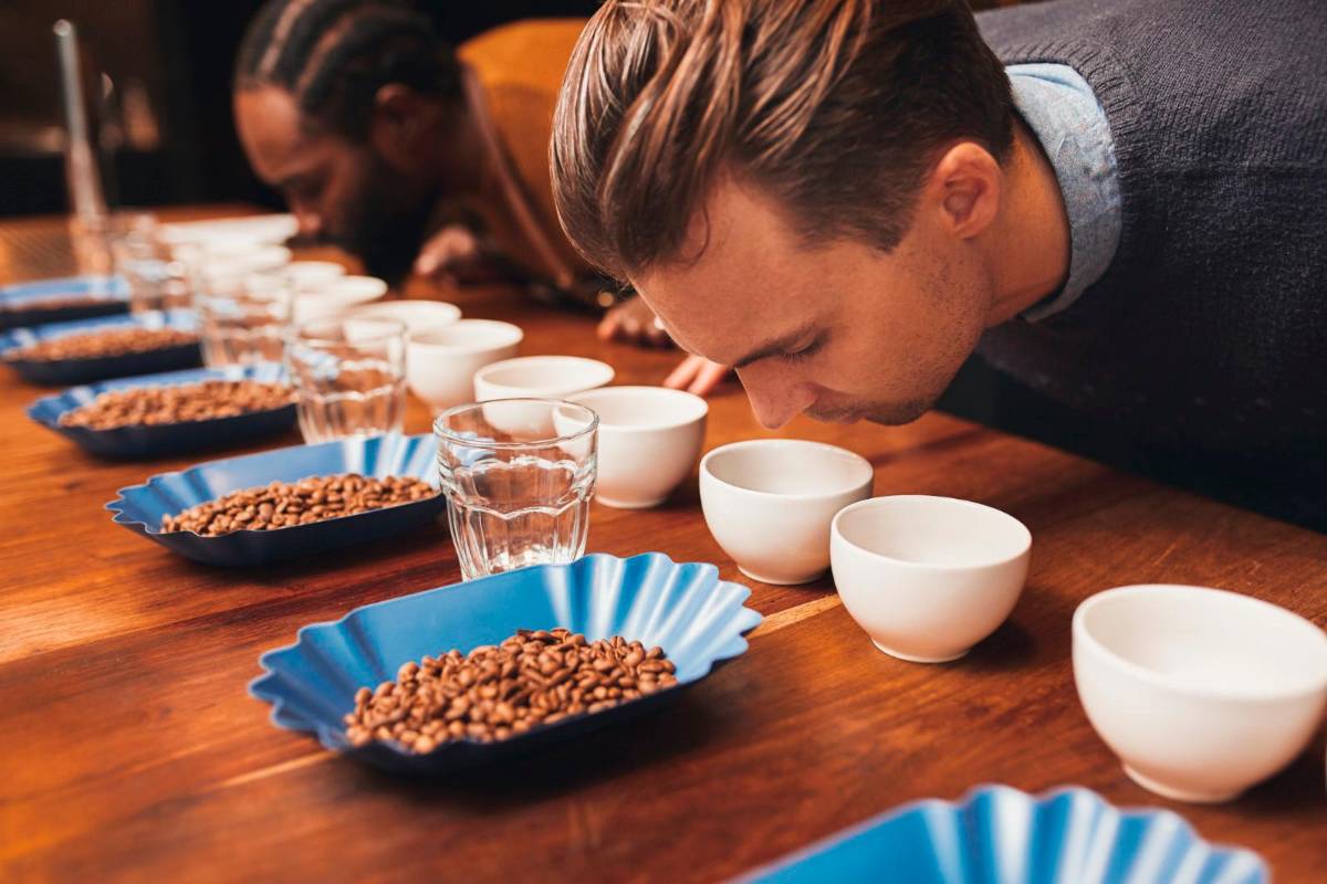 La Taza de Excelencia: Sabores que marca la diferencia