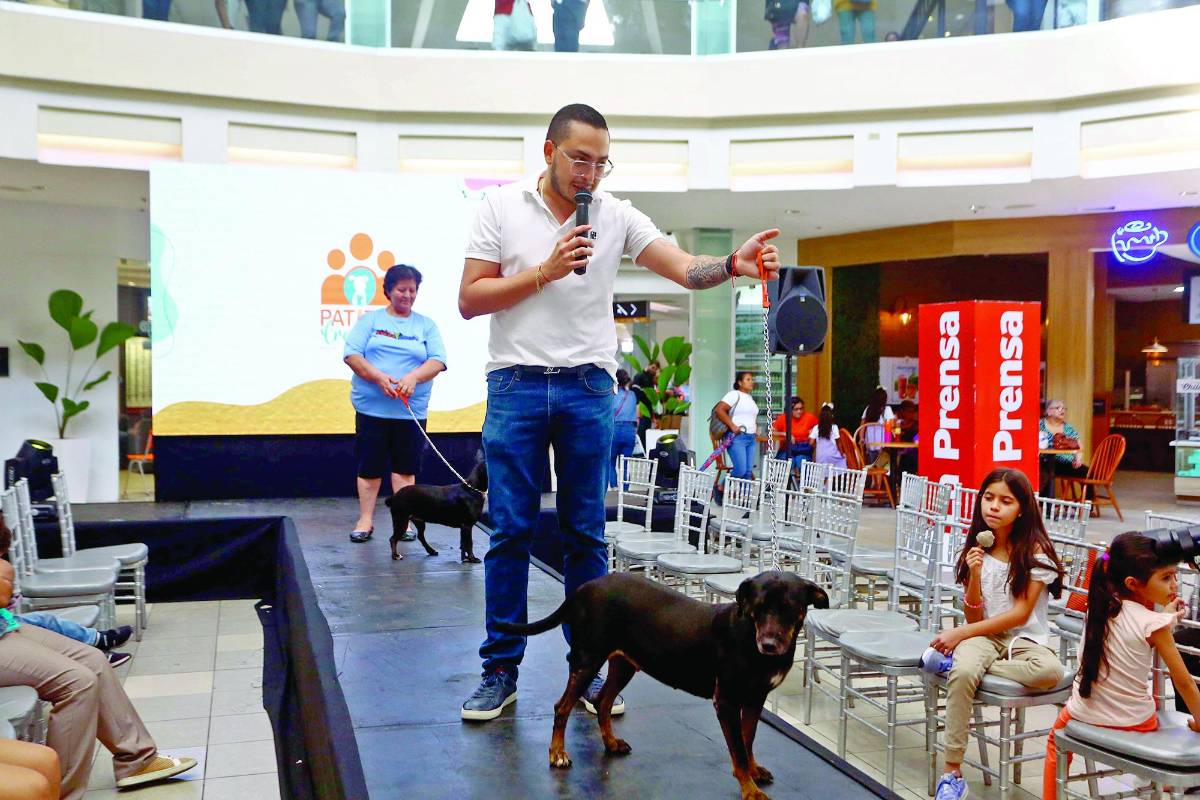 Caninos de Amor y Abrigo realizan pasarela de adopción.