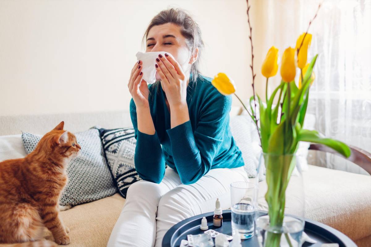 Alergias: los tipos que existen y cómo prevenirlas