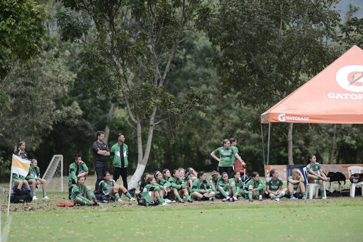 Copa Femenil del AASCA.